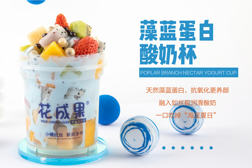 创业还在“抓瞎”中？花成果手造酸奶捞领你成功“上道”